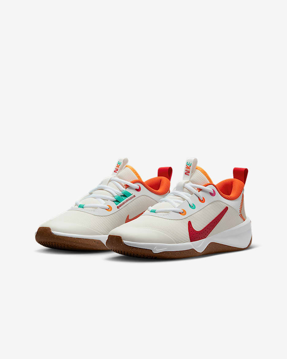 Nike indoor training shoes online